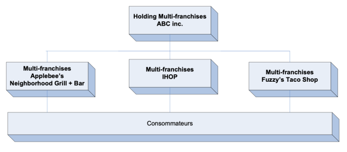 Les franchises multi-concepts et les multi-franchises sont-elles des ph&eacute;nom&egrave;nes nouveaux ?